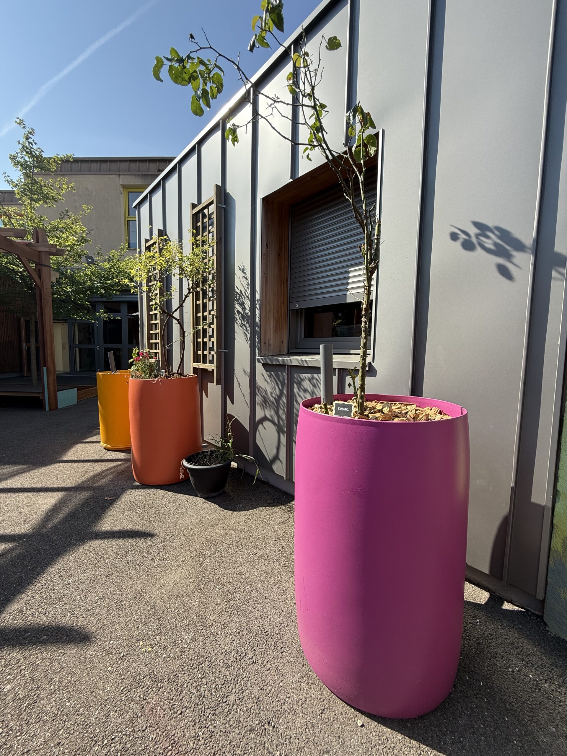Pergola végétalisée filets de peche recyclés